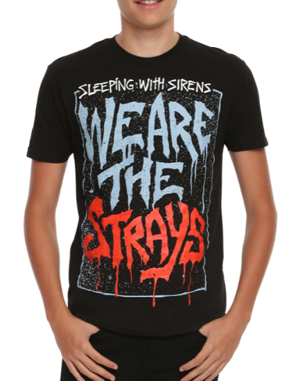 strays sleeping with sirens